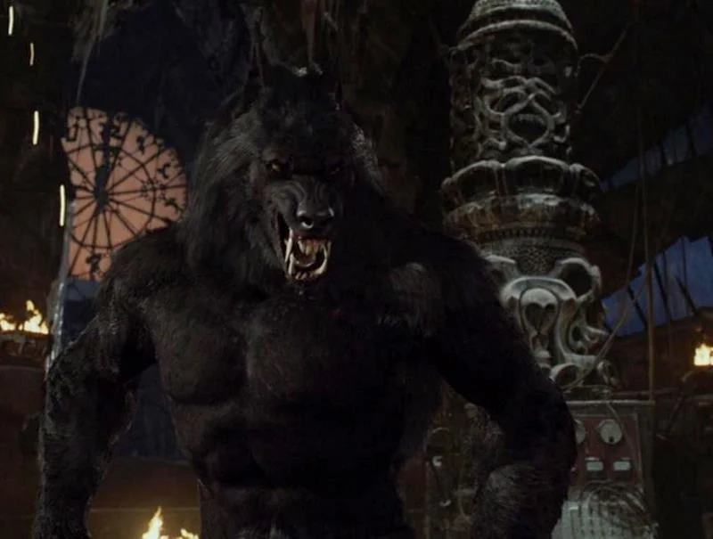 splintersofice's tweet image. werewolf enthusiasts. did we like the ones in van helsing or the ones in underworld more.