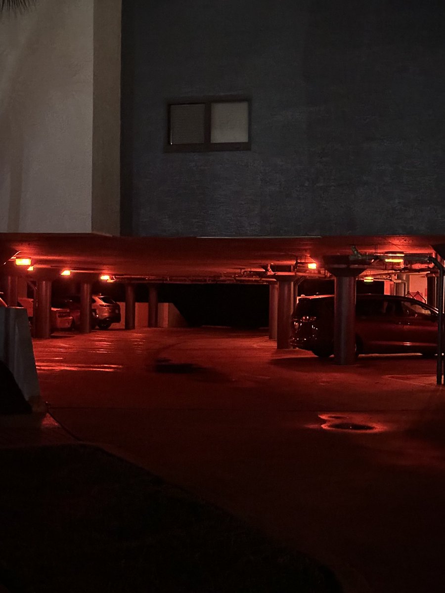 Dr. Ben Braddock tweet media