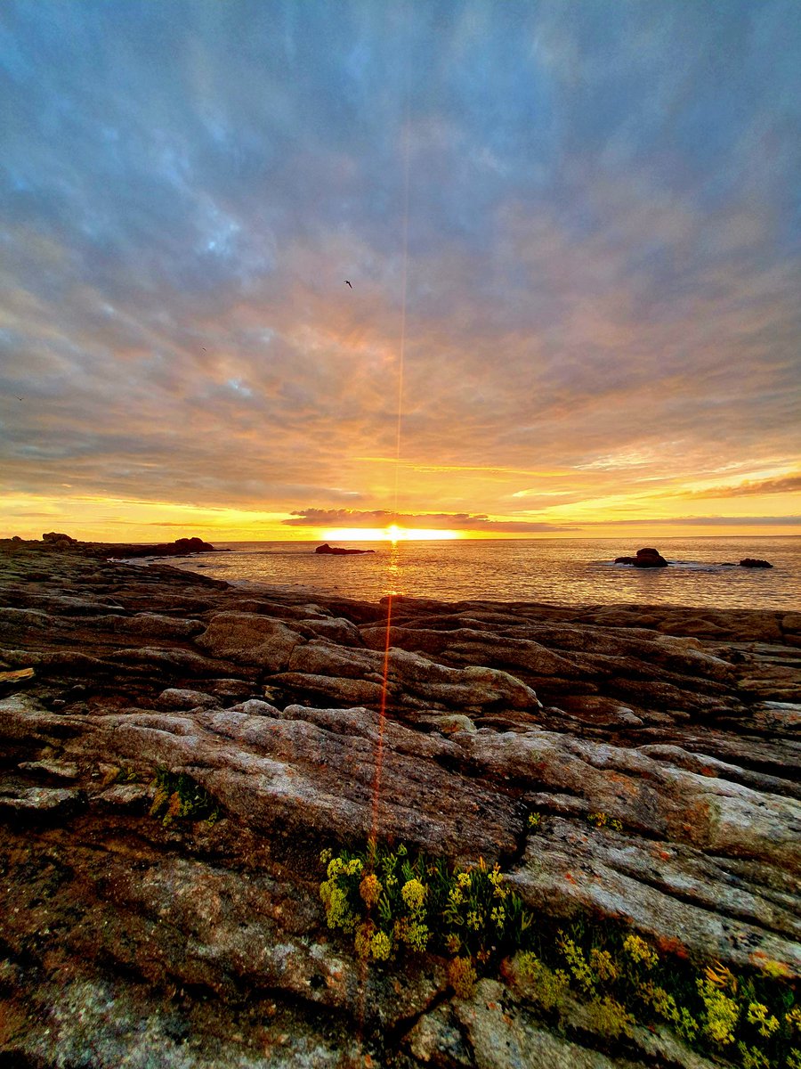 Xray_breizh tweet media