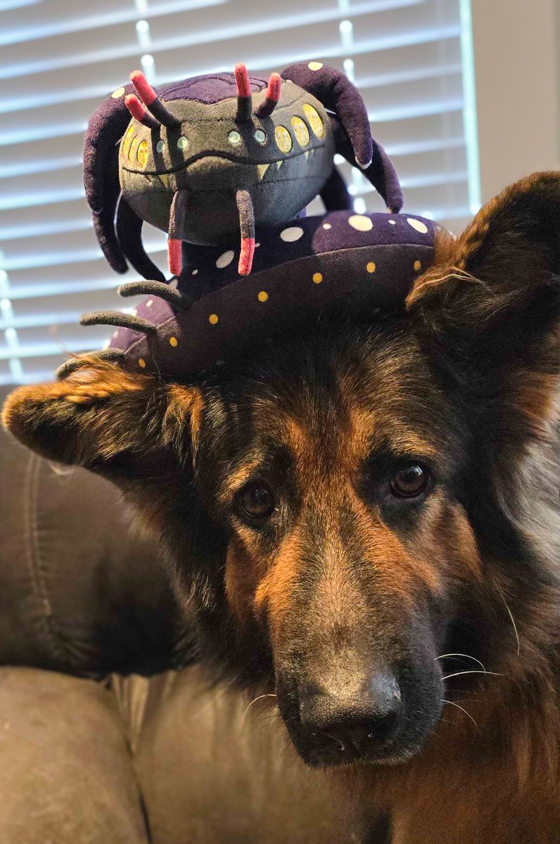 So.. 

<a href="/Makeship/">Makeship</a> put a Leviathan in my home and i can't tell if Jager is concerned or happy to have a new friend.

For a limited time (If you're brave enough..) You too can have a Leviathan in your home, Lil' Gargy is live!

makeship.com/products/lil-g…