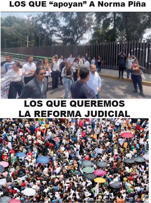 jxlareforma's tweet photo. Cuando la juventud se organiza, no les gana la fachiza 😎

#ReformaJudicialYa 📣 https://t.co/oCRhR170By