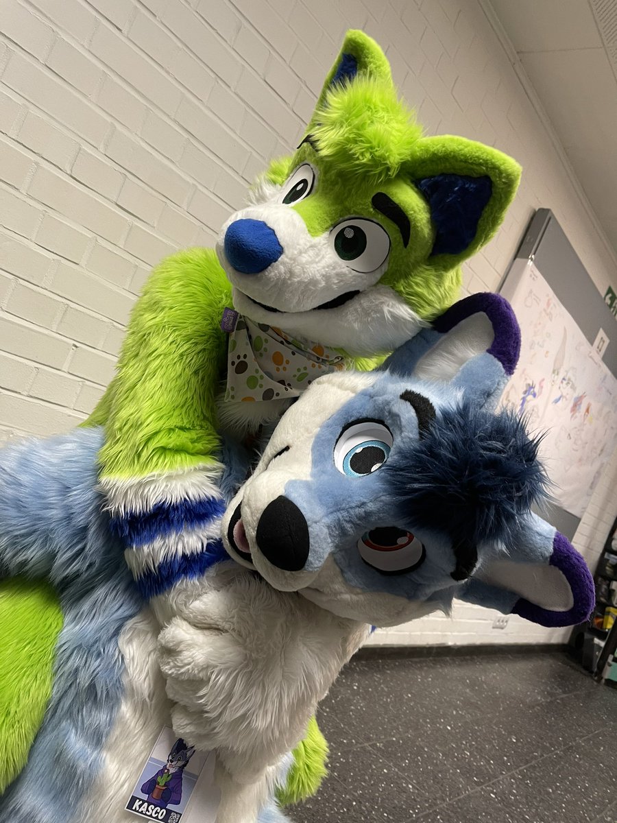 Lytrox's tweet image. Look! I found a cute Fox x3

#FursuitFriday

🦊 @FoxKasco 
📸 @MrMikado99 
📍 Furmeet Herne