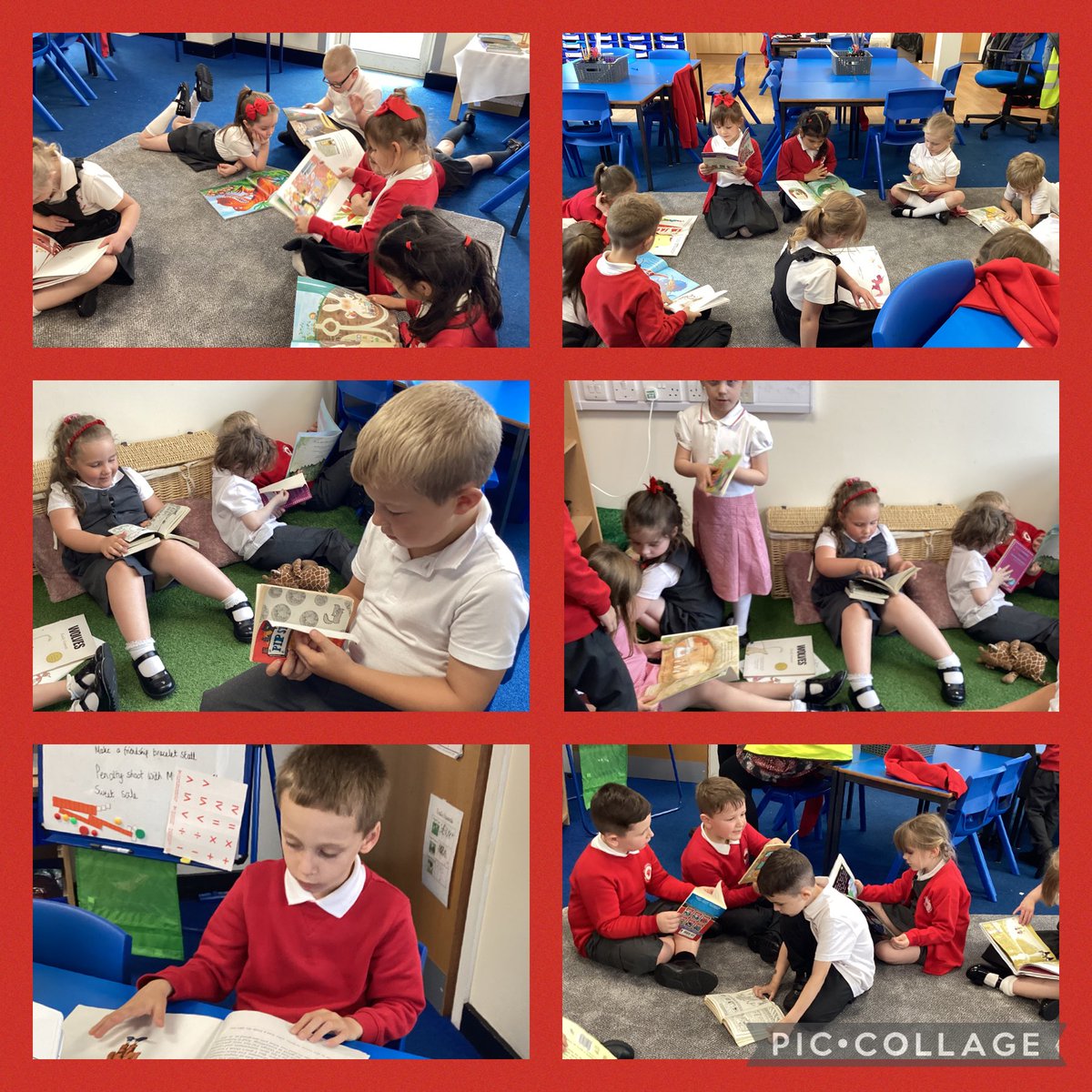 MrsBond@StJamesCE (@mrsbondstjames) on Twitter photo It has been a lovely week getting to know the year 2 children. We have especially enjoyed exploring the reading corner and making ourselves comfortable with a book 📚
We are looking forward to fabulous year of learning. Well done year 2 <a href="/StJamesCEsth/">@StJamesCE</a> 🐚🌟 It has been a lovely week getting to know the year 2 children. We have especially enjoyed exploring the reading corner and making ourselves comfortable with a book 📚
We are looking forward to fabulous year of learning. Well done year 2 <a href="/StJamesCEsth/">@StJamesCE</a> 🐚🌟