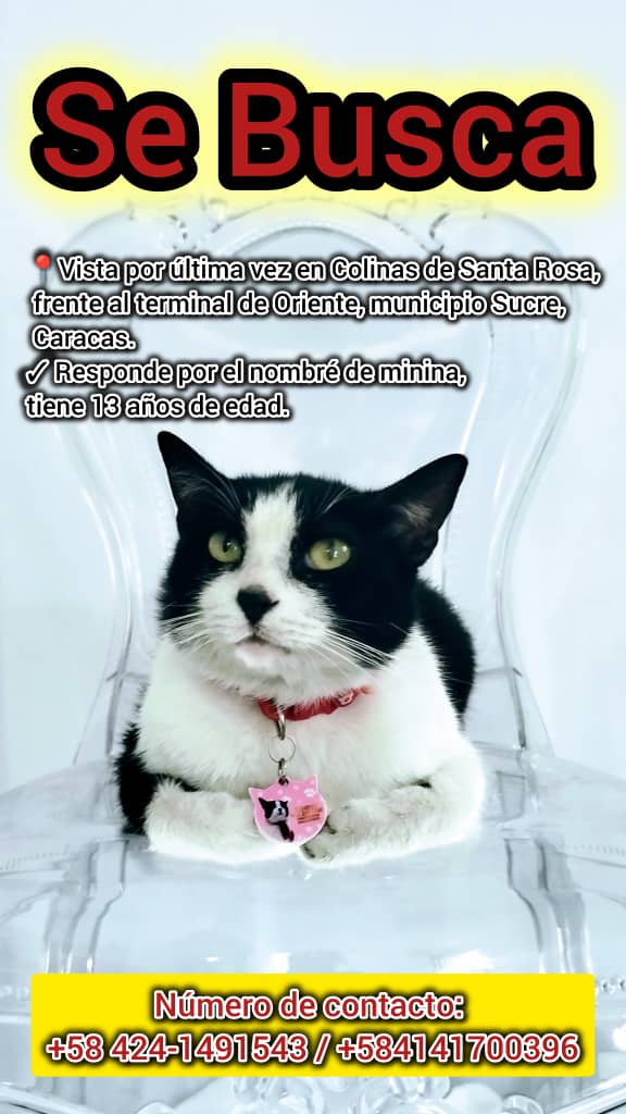 Por Favor ayúdenme a difundir 🙏🏻