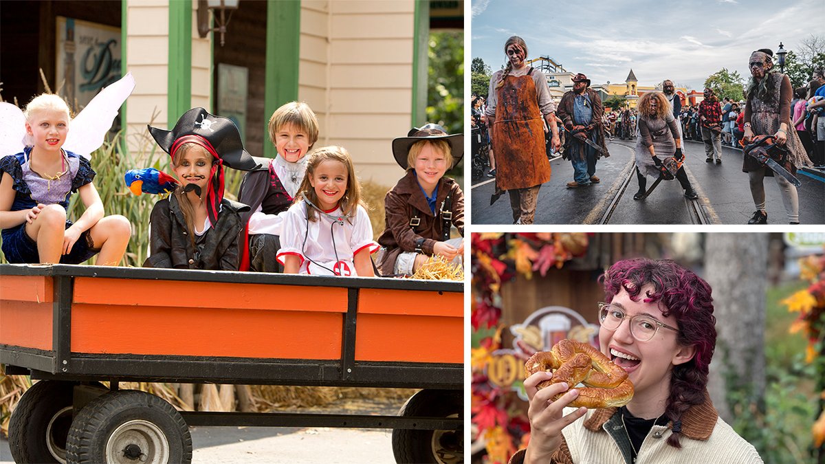 Visit Lake County tweet media