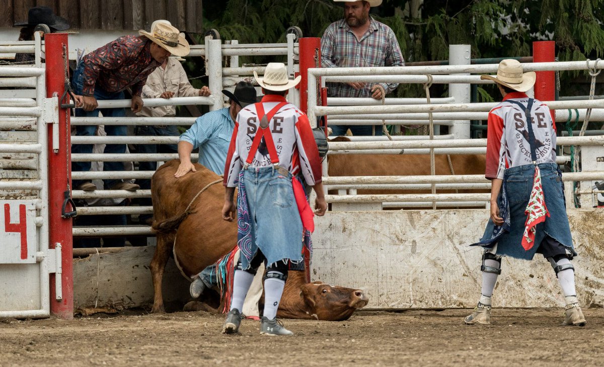 .@vanhumane:  Coombs rodeo under investigation after VHS files cruelty complaint: Media dlvr.it/TCwRSq