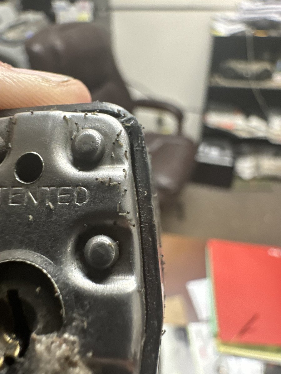 Front & Center Turf tweet media