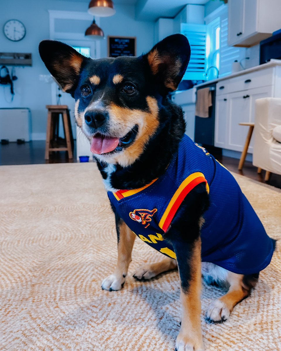 Bri Lewerke tweet media