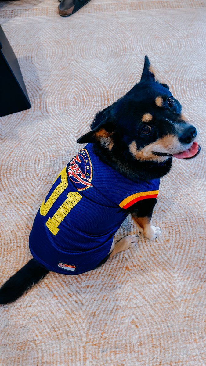 Bri Lewerke tweet media