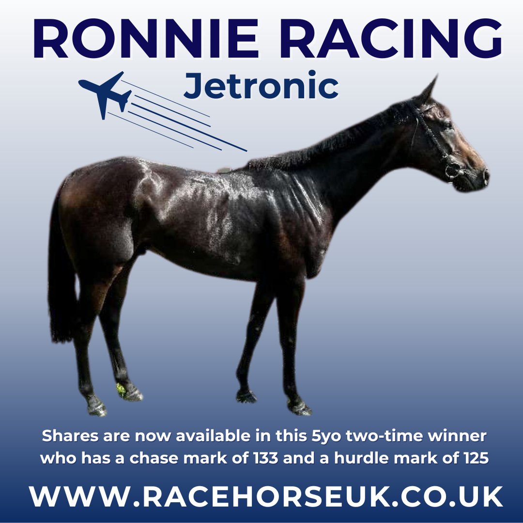 Racehorse_UK's tweet image. 🏇 @ronnieracingltd introduce Jetronic! 🛩 In training with @gl_racing, this 5-year-old gelding is already a winner, and he is sure to provide his owners with many exciting days at the races. 🌟racehorseuk.co.uk/horse-detail/?… #horsracing #racehorse #syndicate
