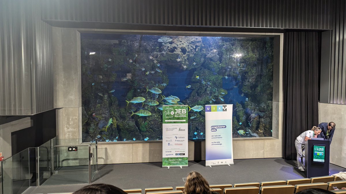 Rotundo Alfredo Manuel tweet media