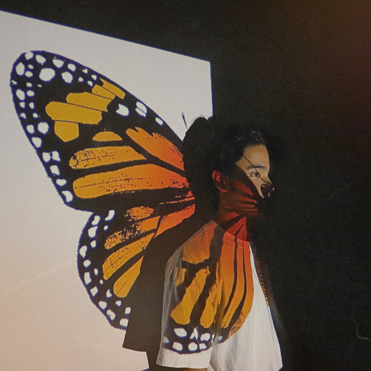 Will Jay tweet media