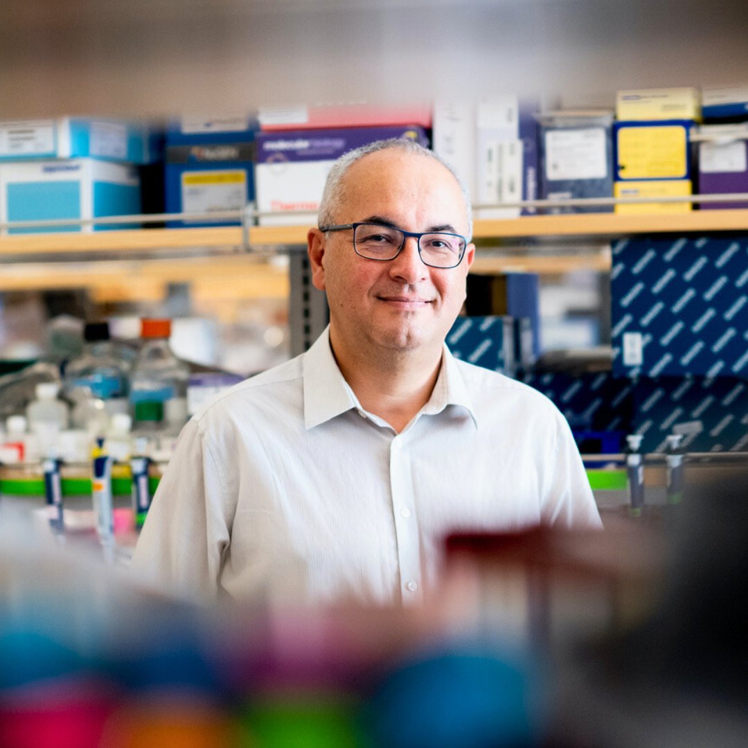 The 2024-2025 Grant Cycle for the Osteosarcoma Institute is now open! If you are an osteosarcoma researcher or investigator, please visit our website to learn about our grant process and how to apply: osinst.org/researchers/#g….