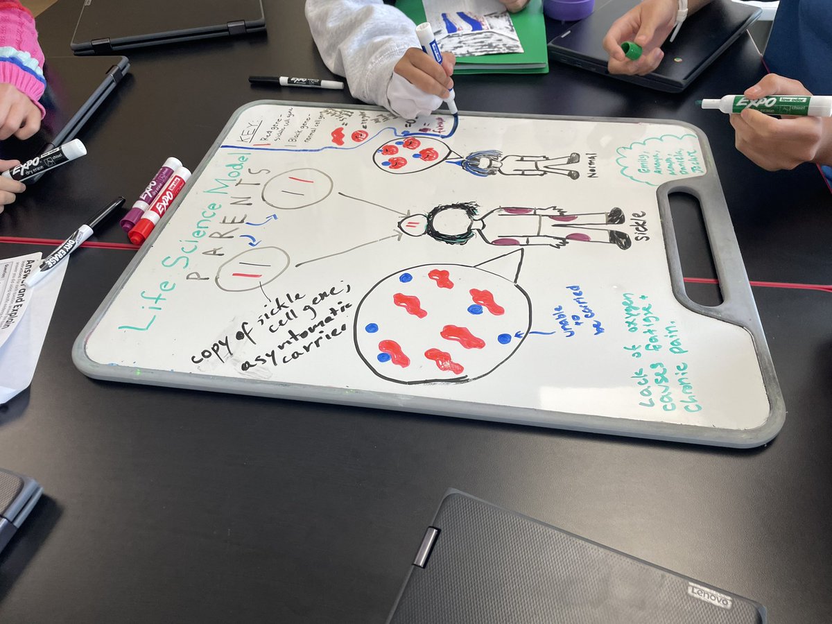 DavidGusitsch's tweet photo. Some impressive graphics &amp; descriptions to gauge student understanding in #SaxeScience. They haven’t even covered DNA yet, but have included it in their work - I’m impressed! 🧬 https://t.co/9jBdltLylJ