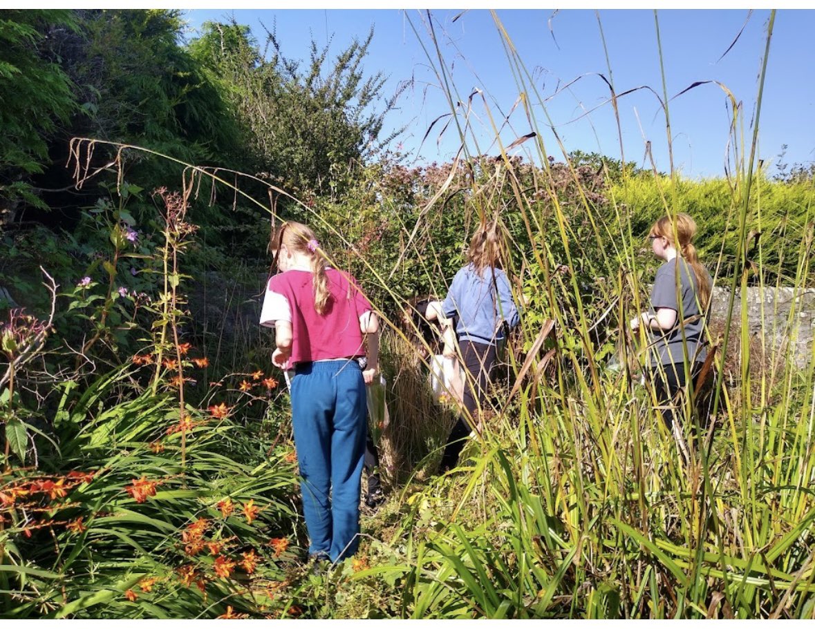 LethamPS's tweet photo. Josephine and Jessica led our P7 community afternoon showing us how to make art out of nature! It was a beautiful afternoon to collect items from the playground and then use them in our art work. The final products look amazing. #art #nature #communitysession https://t.co/lSLOAoE89L