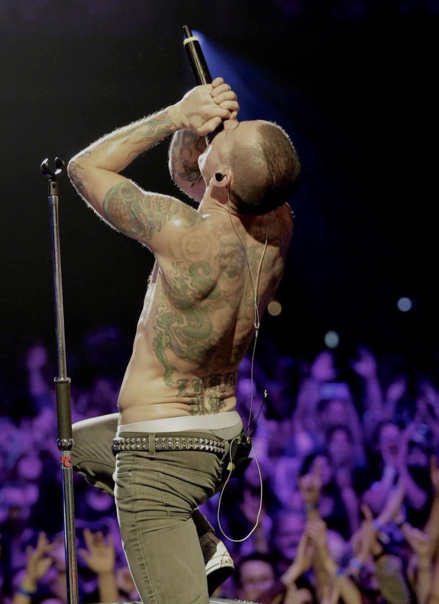 ChesterShots's tweet photo. We miss you, Chester ❤️ https://t.co/wEsdd9lxAv