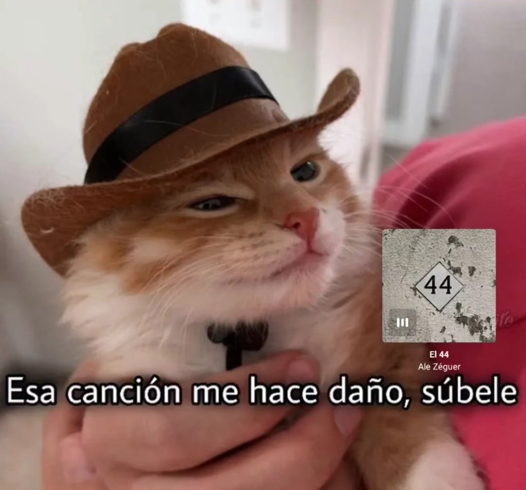 TeamZeguer's tweet photo. Diles que fue mi culpa, aunque no sea la verdad. 🥲
¿Ya lloraron con #El44?
@alezeguer https://t.co/w4nYpvISbX