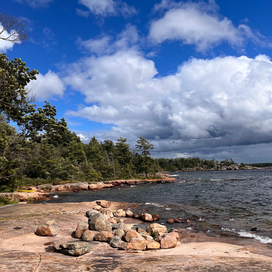 GLPCleanup's tweet image. We are proud to be a part of the #Biinaagami Great Lakes community! The organizations and projects involved span from ecological monitoring, to education, Indigenous-led work, cleanups, water monitoring, and so much more! Learn more here biinaagami.org/connect/great-…

#GreatLakesStrong