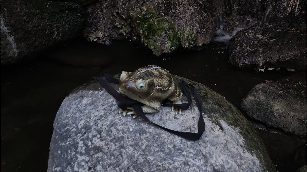 No Context Frogs tweet media