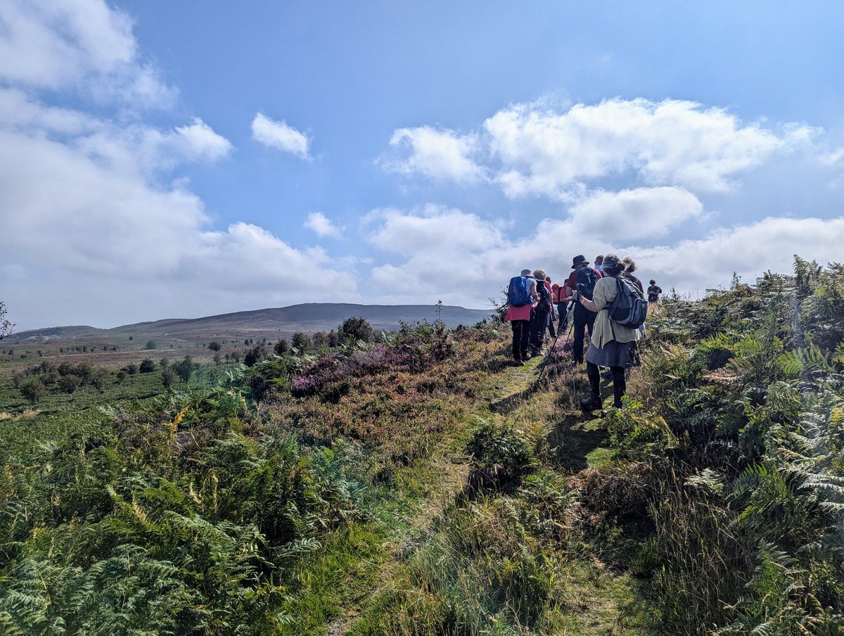 Fantastic time leading a walk during the <a href="/Corwenwalks/">Corwen Walking Fest</a> walking festival last weekend! We enjoyed stunning views as we hiked from Corwen up to Liberty Hall, then back through the forest in Cynwyd before returning along the old railway. Perfect day with great company. #Corwen #hike