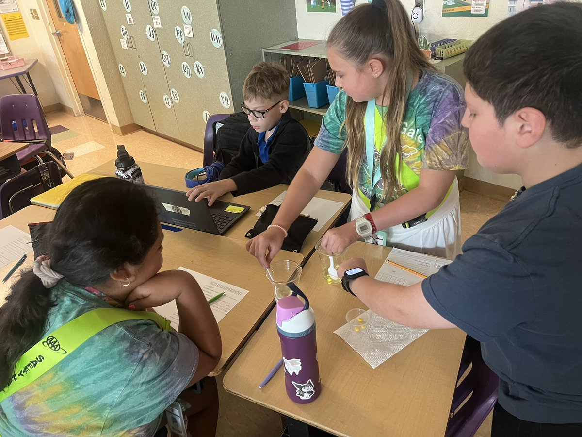 Jen_Teaches24's tweet photo. Investigating whether warm or cold water will dissolve a Skittle faster 🤔 @ElbridgeGaleES #STEM https://t.co/IOm7c4dEJQ