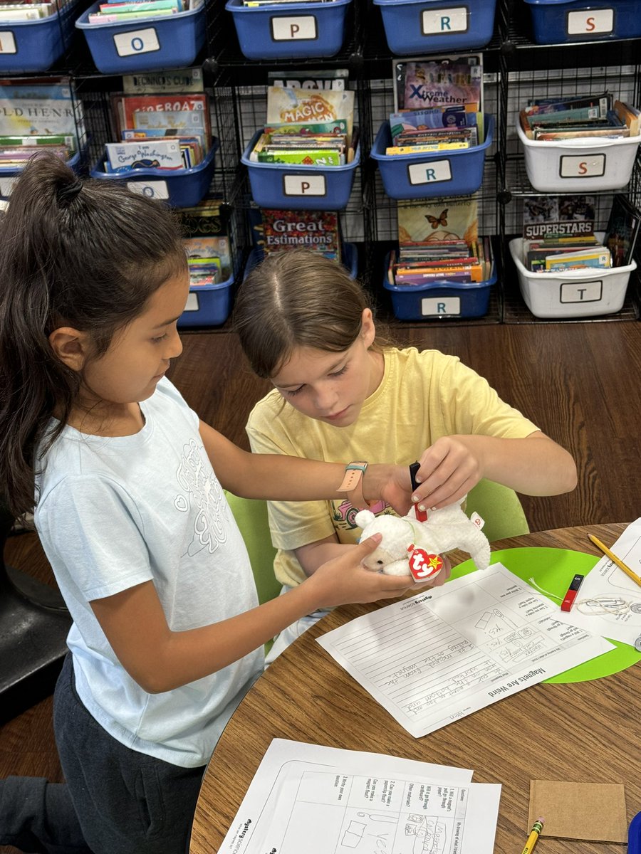 Brooke Thurston tweet media