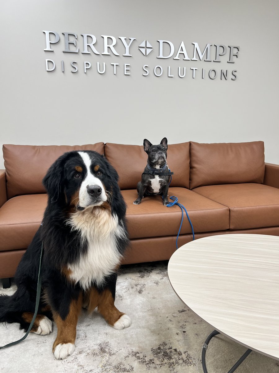 perrydampf's tweet image. Today,  we had a few sweet visitors at #PerryDampf! Meet Lincoln and Jeaux with Pet Partners. They came to help mediate a case and keep all parties happy. Kudos, to mediator Rebecca Wisbar for coming up with different (&amp;amp; really cute) ways to help clients get through a tough day!