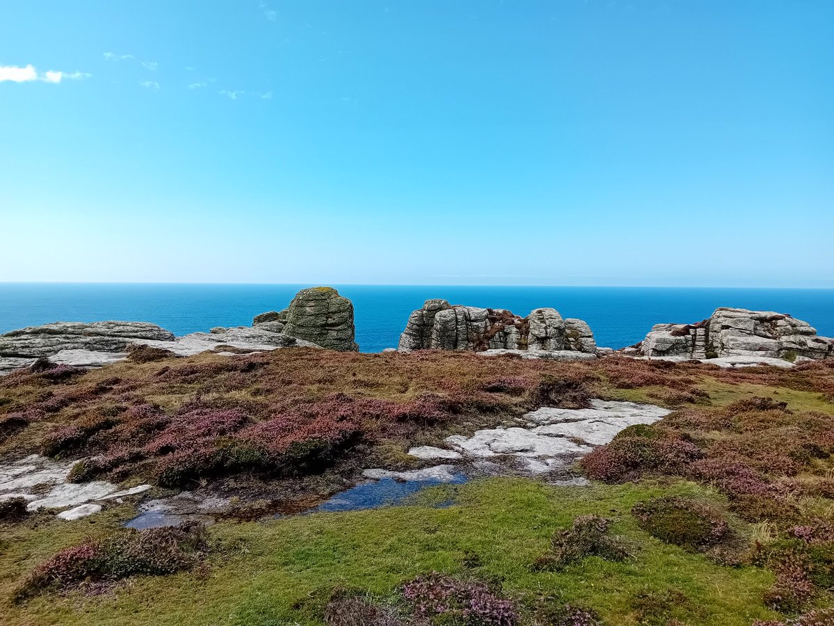 A great week visiting <a href="/lundybirds/">Lundy Bird Observatory</a> to help with some seabird monitoring. Finding a Melodious Warbler (lifer), ringing shearwaters underneath the Milky Way and seeing coastal moths was special. A cracking island and even better people, will definitely be back #obsenvy