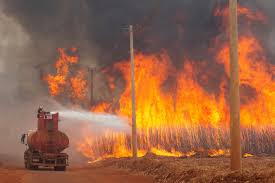 tx_marcelo's tweet photo. #Brazil's #sugar industry group @UNICA_cana said on Friday 230,000 hectares of sugarcane were hit by fires in Sao Paulo state. It said 132,000 of those has will still be harvested, but the rest amounted to fields that were growing for next season, so probably lost https://t.co/sTYeUVGtem