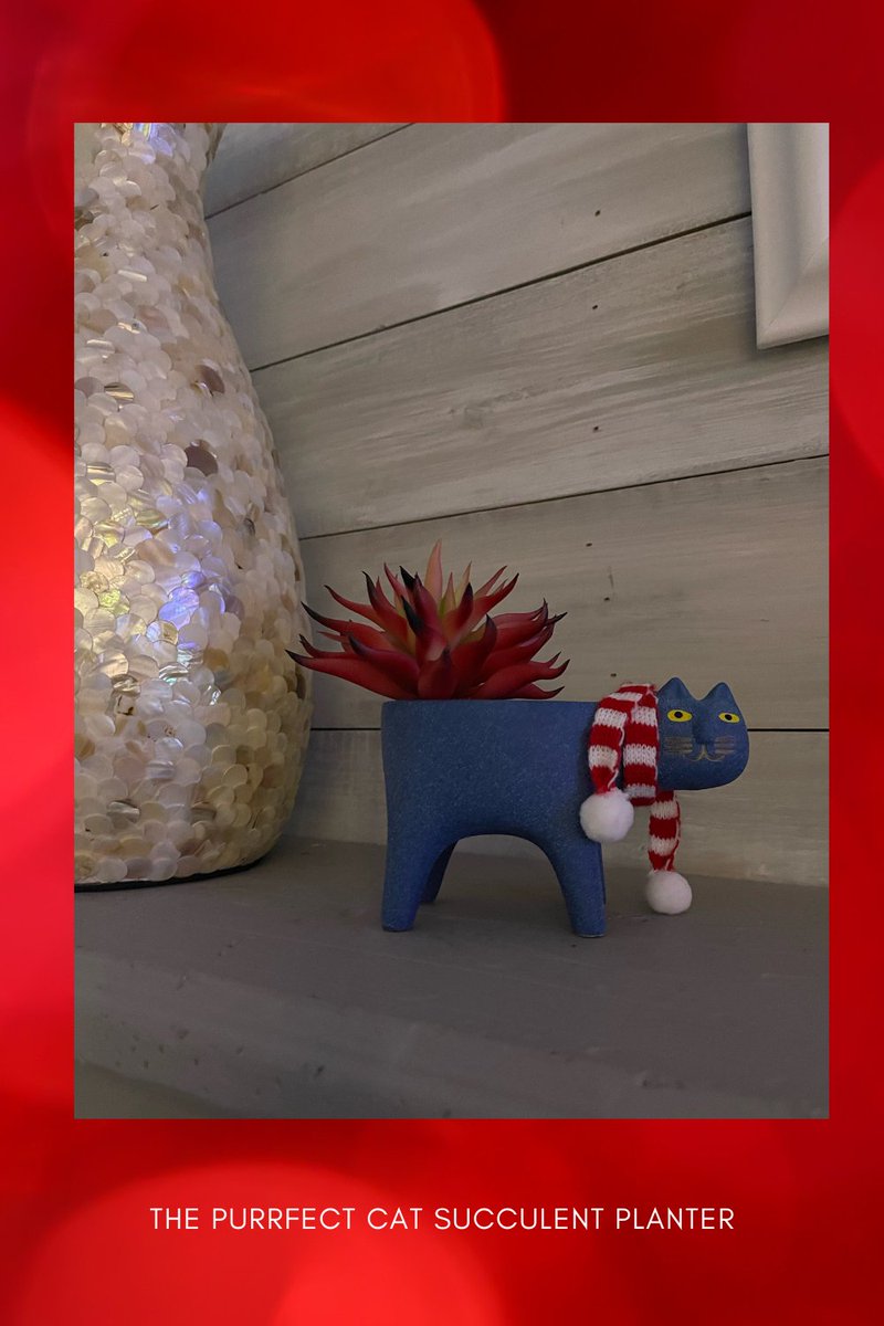AryceGifts's tweet photo. 🌵🐱 Adorable Cat Succulent Planter 🐱🌵

Transform your space with this cute and charming cat succulent planter! Perfect for plant lovers and cat enthusiasts alike, this unique planter adds a playful touch to any room. #catlover #giftsforher https://t.co/KUjvnsvNlK