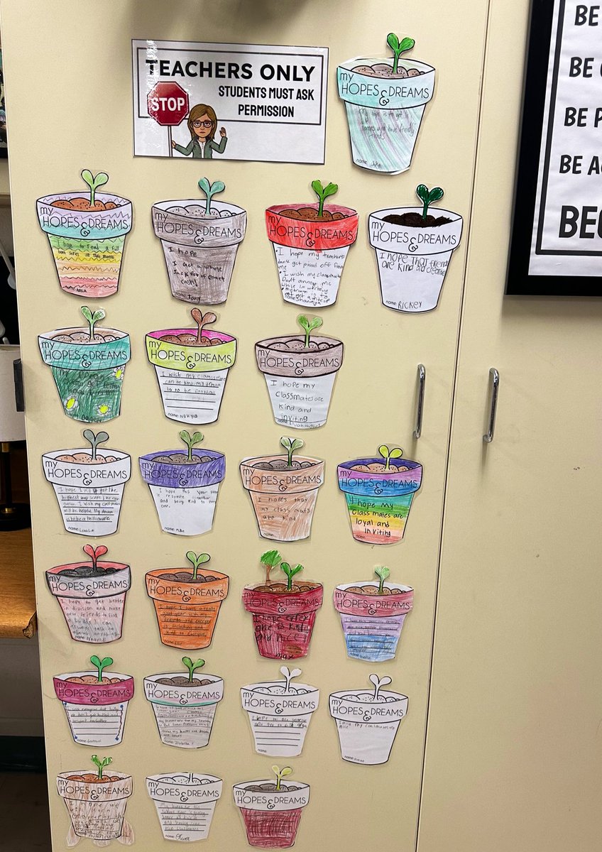 Amanda Schreiber tweet media