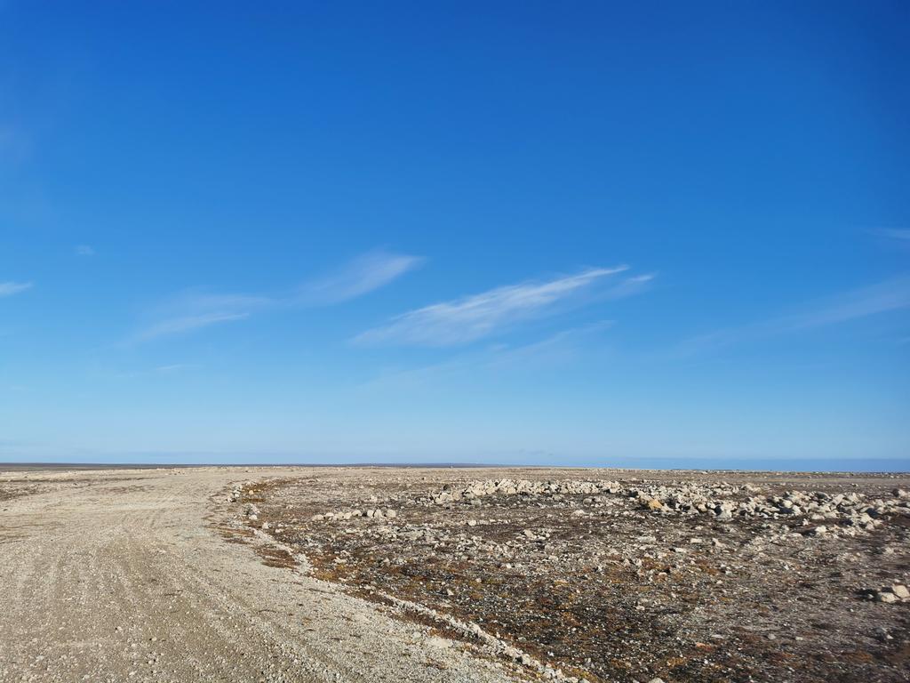 vickyinglis13's tweet photo. On the road to nowhere. Gravel tracks and a disused landing strip covered in the footprints of muskox and Arctic fox near the site of the former DEW line station on Jenny Lind Island / Qikiqtarjuaq #NorthWestPassage #PolarGuide https://t.co/tdn9pvSIEd