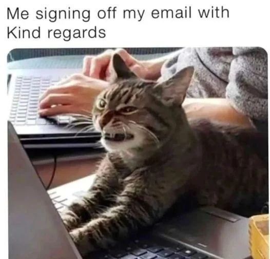 WholesomeMemes (@wholesomememe) on Twitter photo 