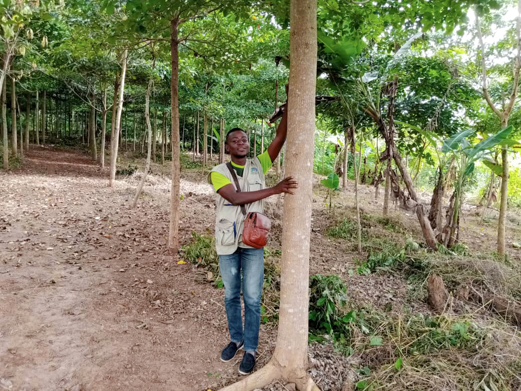 agro_map's tweet photo. #𝗘𝗻𝘃𝗶𝗿𝗼𝗻𝗻𝗲𝗺𝗲𝗻𝘁 | 𝗰𝗵𝗮𝗻𝗴𝗲𝗺𝗲𝗻𝘁 𝗰𝗹𝗶𝗺𝗮𝘁𝗶𝗾𝘂𝗲.
De la pépinière à la plantation, chaque arbre planté par AGROMAP est le symbole de son engagement, depuis 2018 à la restauration et la reconstitution du couvert forestier ivoirien. https://t.co/58OEkk4pJo