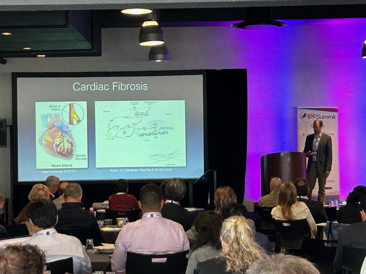 Jason McCarthy, Ph.D., associate professor of biomedical research and translational medicine, attended the 8th annual IPF Conference, which is the industry’s largest drug development initiative for the pulmonary fibrosis community.
