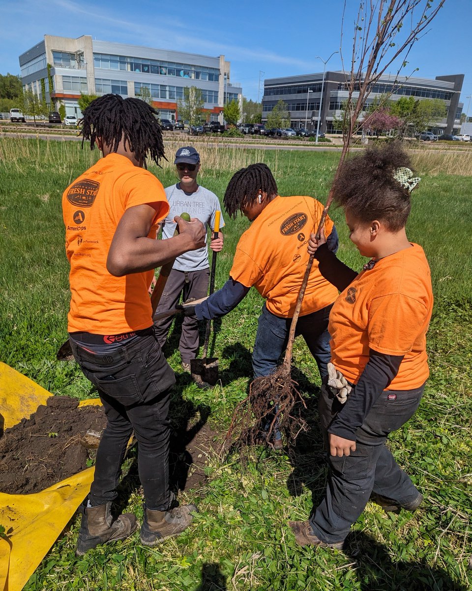 📸 #CorpsPhoto of the Week!
#Corpsmembers with <a href="/OFSMadison/">Operation Fresh Start</a> spent several weeks planting and maintaining young trees. Creating a tree canopy helps provide shade and reduce temperatures during hot months. 

Visit corpsnetwork.org/news/photos-of… to see more photos of Corpsmembers in action!