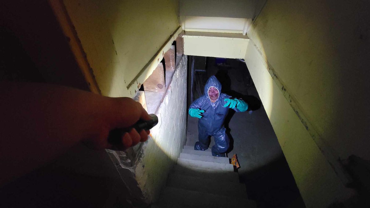 DuskySamCat's tweet image. Queasy was lurking in the basement. Maybe he will help me renovate it!