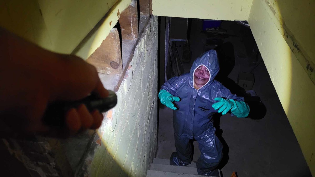 DuskySamCat's tweet image. Queasy was lurking in the basement. Maybe he will help me renovate it!