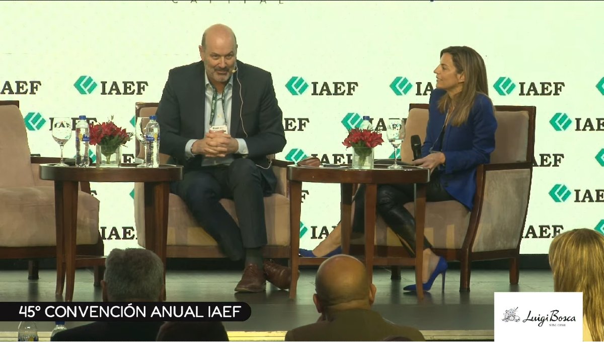 Sturzenegger desatado: "El sistema de cese les va a permitir a los empresarios diseñar su propia reforma laboral"