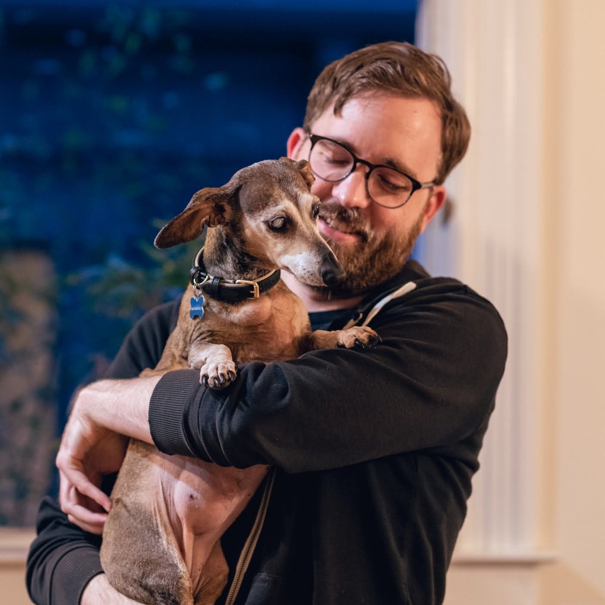 Travis Collins tweet media