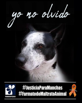 zulbeamarts's tweet photo. PROHIBIDO OLVIDAR https://t.co/XfMKqJuXyP