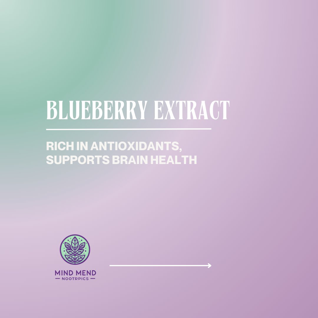 mindmendnootrop's tweet image. 🚀 Upgrade Your Mind! 🧠✨ Keep your brain youthful and your thoughts crystal clear with our top-tier Nootropic Stacks. They&apos;re packed with mighty antioxidants designed to safeguard your gray matter against the test of time. Why just age when you can age smartly?
