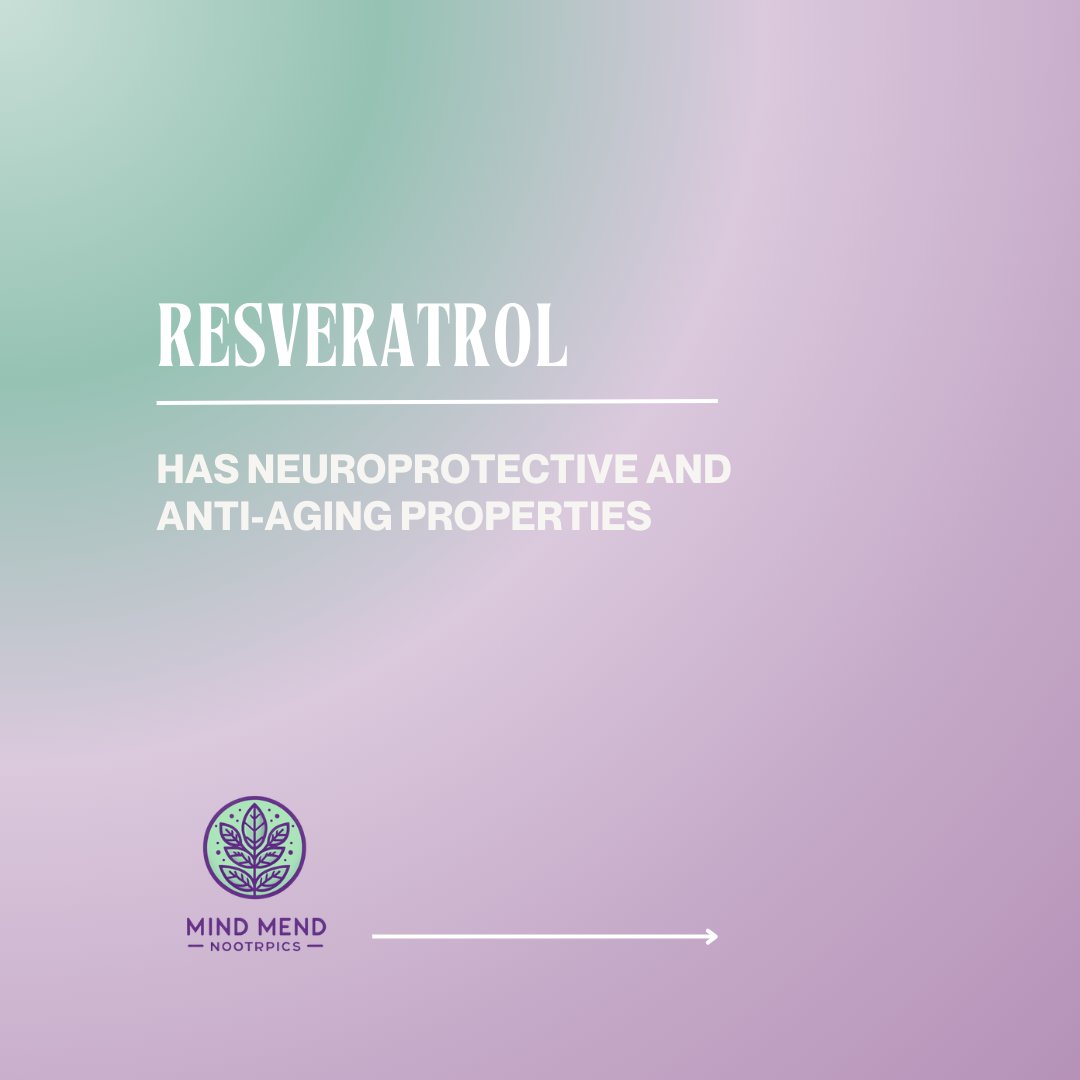 mindmendnootrop's tweet image. 🚀 Upgrade Your Mind! 🧠✨ Keep your brain youthful and your thoughts crystal clear with our top-tier Nootropic Stacks. They&apos;re packed with mighty antioxidants designed to safeguard your gray matter against the test of time. Why just age when you can age smartly?