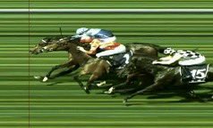 kimwaugh6's tweet image. Wow Northern Eyes 👏👏👏👏4 Wins in a row &amp;amp; 4 from 5 since joining the team!
@TommyBerry21 made light work of his wide gate with a 🍑👏👏 Congrats to all his owners including @TheRacingLeagu3 #inglisdigital @widdenstud #welldoneteam  🥳🔥🏇