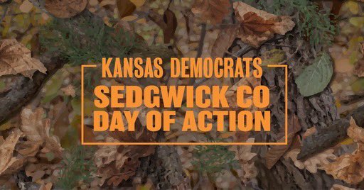 KansasYoungDems's tweet image. This event will start at 10:00 AM &amp;amp; run into the evening. They will have pizza, donuts &amp;amp; snacks for everyone, and beer and wine for those 21+. Food is free in exchange for at least an hour of phone-banking or canvassing. #kdp #demofest