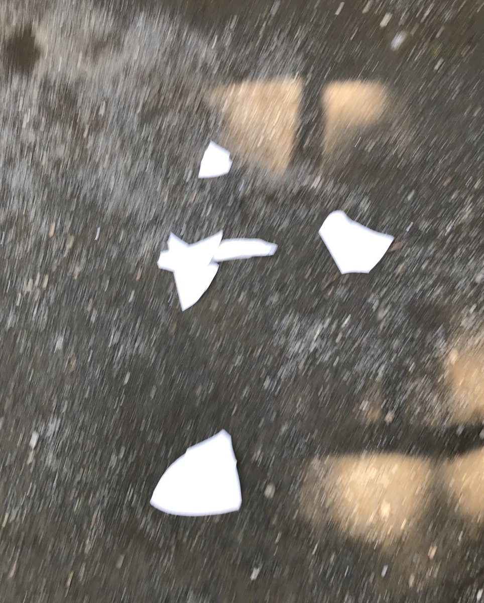 audrey_biralo's tweet image. 投げられた皿？の破片。