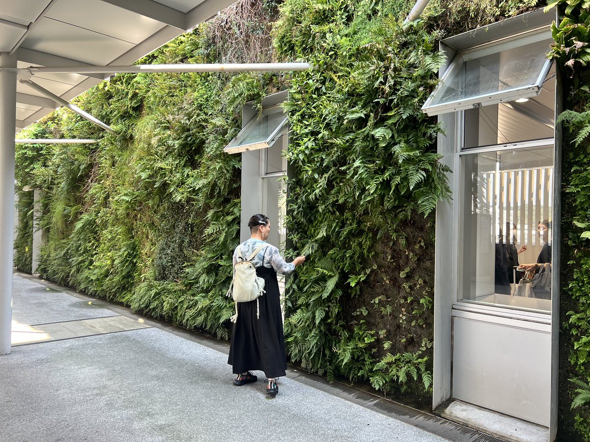 山口の玄関新山口駅の南口と北口を結ぶ自由通路の壁面を長さ約１００メートルにわたり県内で採取した約１４０種類の植物で彩った壁面植栽「垂直の庭」。フランスの植物学者兼アーティストのパトリック・ブラン氏がデザイン。正直、壁面緑化ってどんどん劣化していくのを勿体無いなぁって眺めては