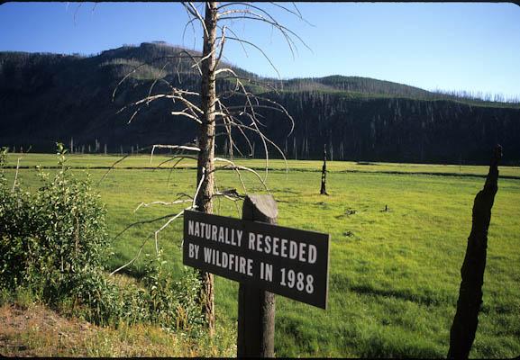 SE_Future's tweet image. How To Reduce Fire Fighting Costs dlvr.it/TCwzl5