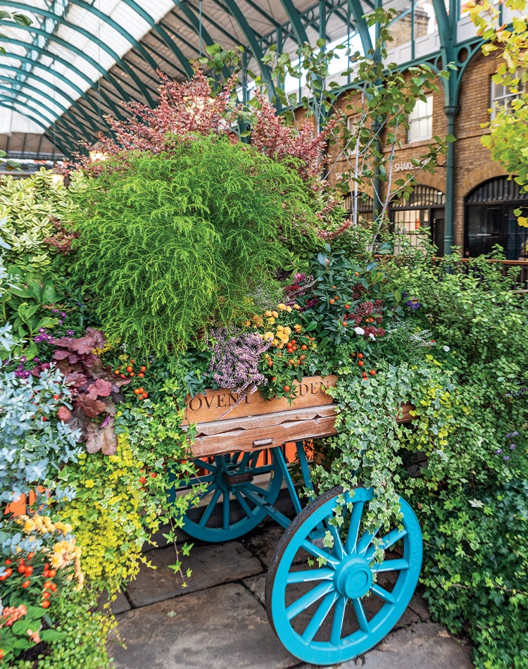 Victoria Magazine tweet media