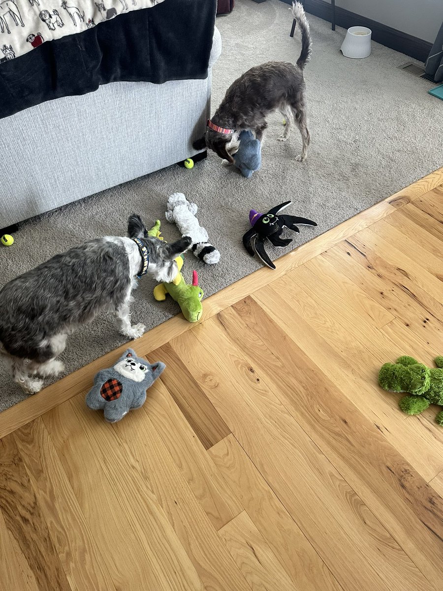 3 Pack - Otto, Kira & Gunther tweet media